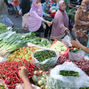Daging Ayam Meroket, Cabai Merah Terjun Bebas