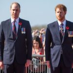 Pangeran William dan Harry Tak Masuk dalam Surat Wasiat, Warisan Rp30 Miliar Jatuh ke Tangan Lain
