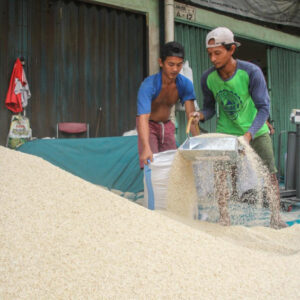 Stok Pangan Dijamin Aman Sampai Akhir Tahun, Beras Catat Rekor 10,23 Juta Ton