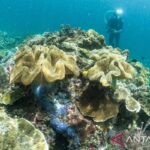 15 destinasi wisata indah di Raja Ampat