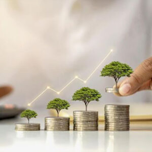 Kredit Hijau Bank Himbara Tembus Rp1.452 Triliun di 2024, Intip Rinciannya