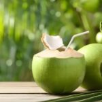Ahli Gizi IPB Ungkap Waktu yang Baik Minum Air Kelapa